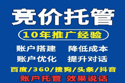 百度品牌专区推广：打造品牌形象的新途径